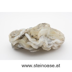 Chalcedon Druse mit Stalaktit